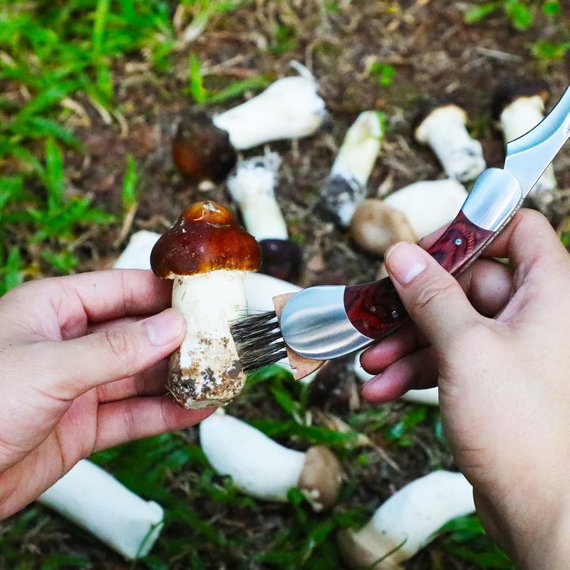 Coowolf Mushroom Knife with Brush and Sheath, Curved Stainless Steel Blade, Hardwood Handle, 7.1 Inch Folding Design, for Morels, Porcini, Chanterelles, Foraging Mushroom Gifts - Image 5